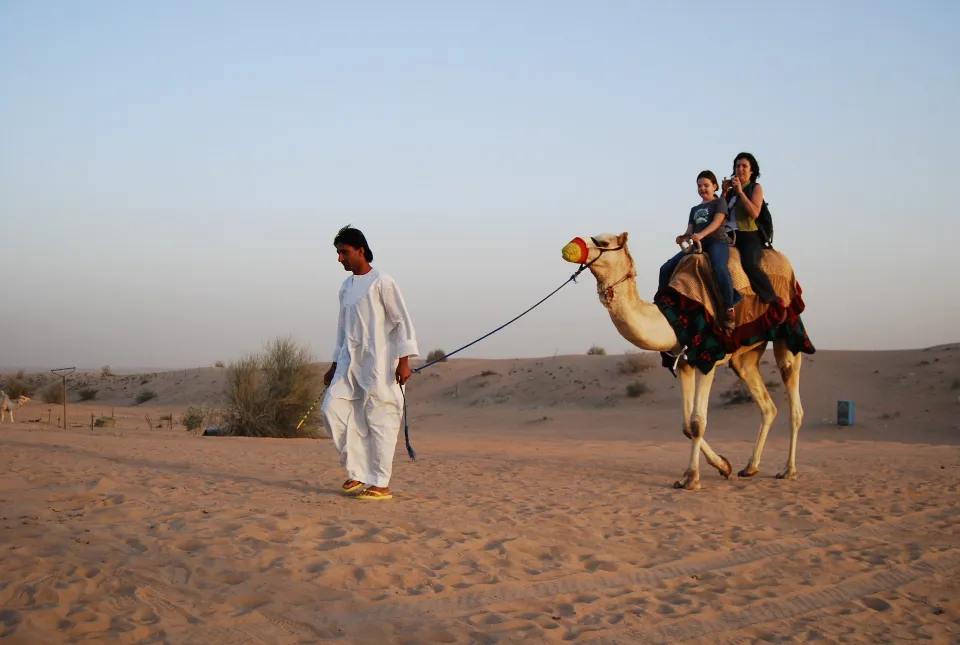 Camel Safari