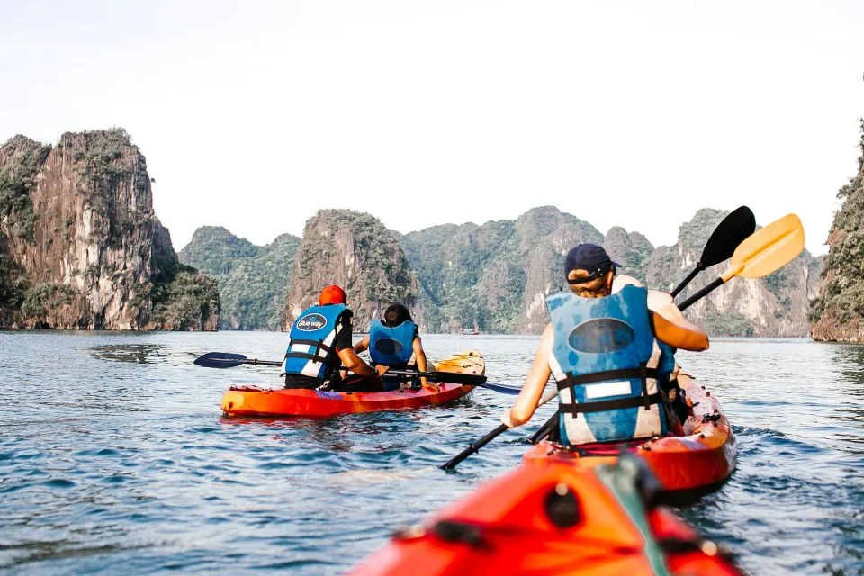 Mangrove Kayaking Tours