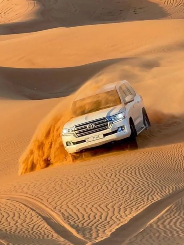 Desert Safari With Car