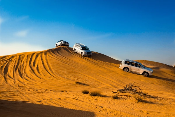 Experience the Best Desert Safari Adventure with Top Travel Agency in Abu Dhabi