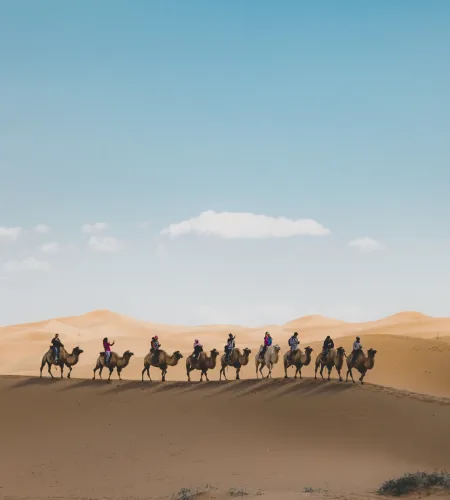 A vertical shot of people riding camels on a sand dune in the desert